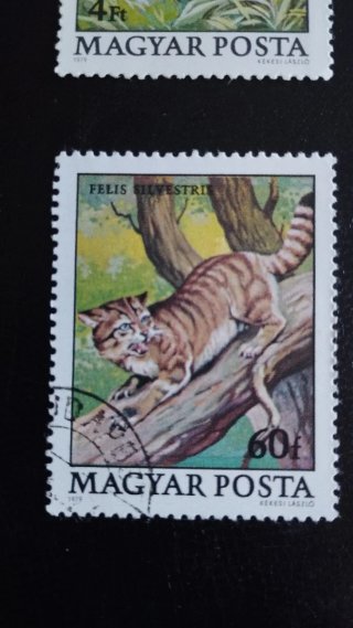Sellos Fauna Hungría - Lote 186