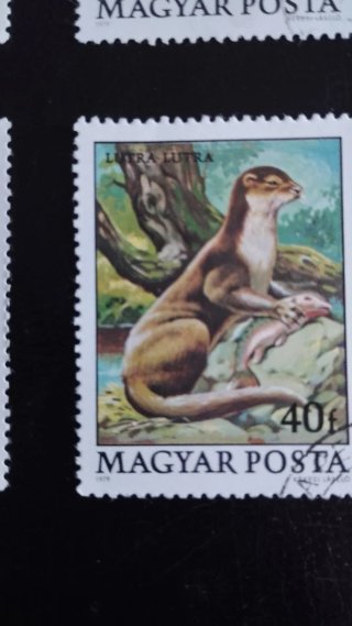 Sellos Fauna Hungría - Lote 186