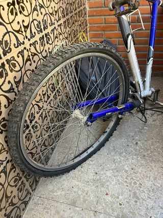 Bicicleta Globe Trotter