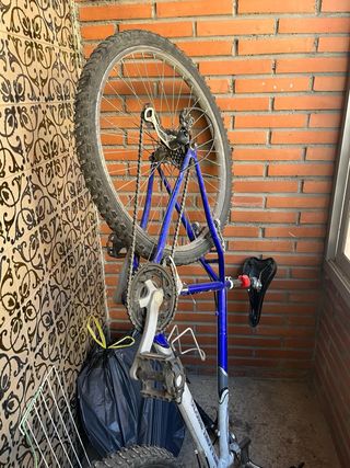 Bicicleta Globe Trotter