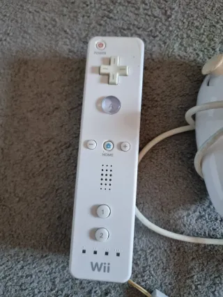 Accesorios Nintendo Wii: Mandos y Cables