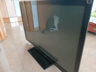 Panasonic TX-42X50E Smart TV 42. Mando y cables.