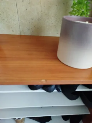 Zapatero de madera y metal