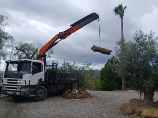 Servicios camion pluma grúa empresas y particulare