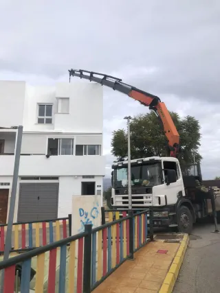 Servicios camion pluma grúa empresas y particulare