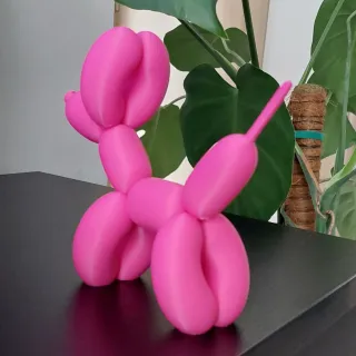 Balloon dog