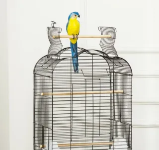 Jaula para pájaros jaula aves canario ruedas Nuev