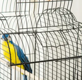 Jaula para pájaros jaula aves canario ruedas Nuev