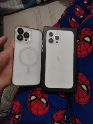 iPhone 13 Pro Max 256GB Argento