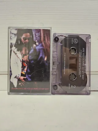 Lenny Kravitz - Are You Gonna Go My Way - MC 1993