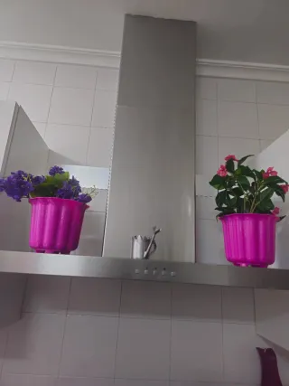 Campana Extractora Franke