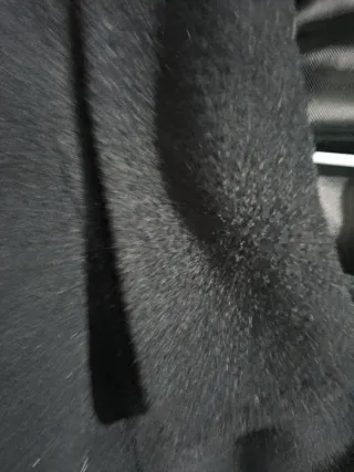 Cappotto  blu donna curvy