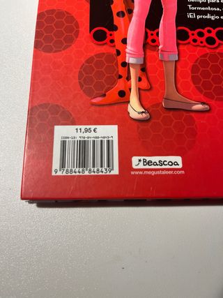 Lady Bug – La furia de Tormenta | Libro infantil