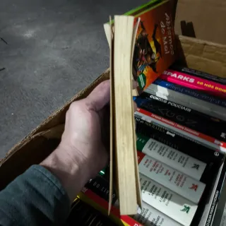 O Ladrão de Espíritos - Aventuras Fantásticas nº 2