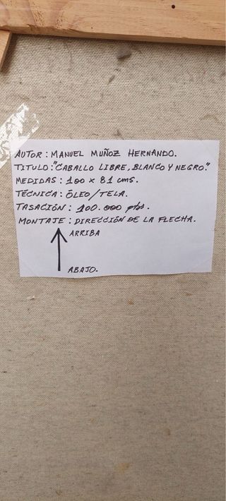 3 Lienzos de Manuel Muñoz Hernando