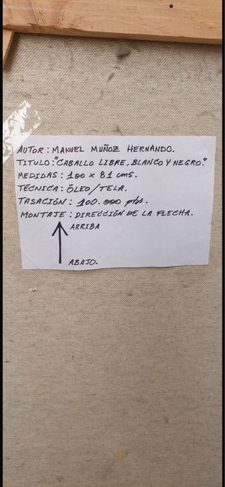 3 Lienzos de Manuel Muñoz Hernando