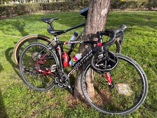 Bicicleta de carretera Specialized mujer talla 52