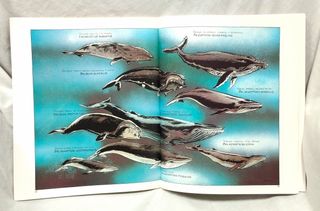 6 Comics vintage de aventuras