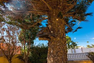 Chalet en venta en La Siesta - El Salado - Torreta en Torrevieja