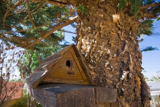 Chalet en venta en La Siesta - El Salado - Torreta en Torrevieja