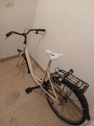 Bicicletta da donna bianca