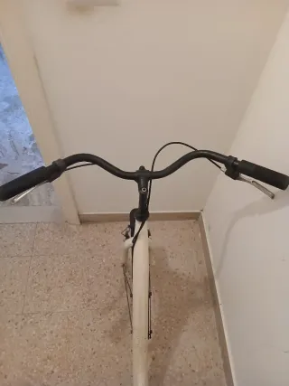 Bicicletta da donna bianca