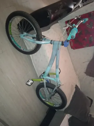 Bici Trial Monty 219 Pintura Personalizada