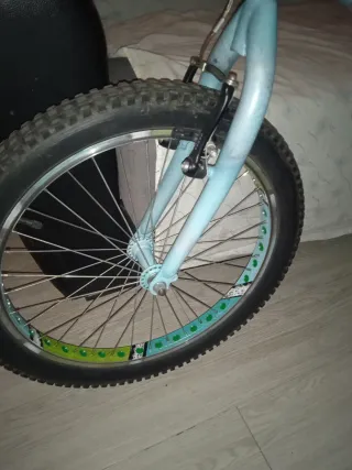 Bici Trial Monty 219 Pintura Personalizada