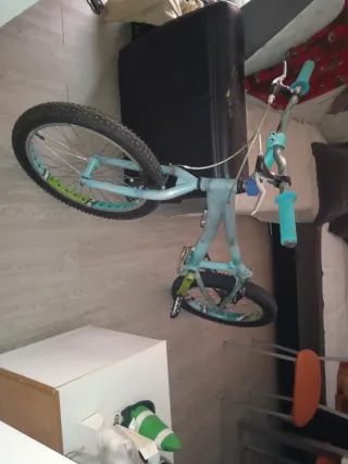 Bici Trial Monty 219 Pintura Personalizada