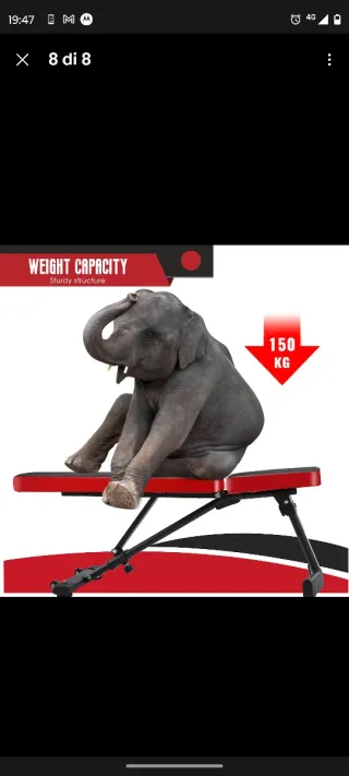 Panca regolabile palestra