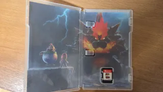 Super Mario 3D World + Bowser's Fury Switch