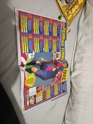 Revista Álbum 2025