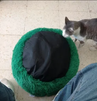 Cama peluche verde para mascota marca Volcano