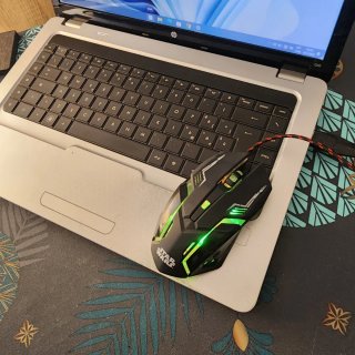 Portátil HP G62 Plata y Negro