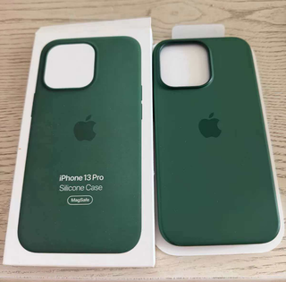 Custodia iPhone 13 Pro MagSafe Clover