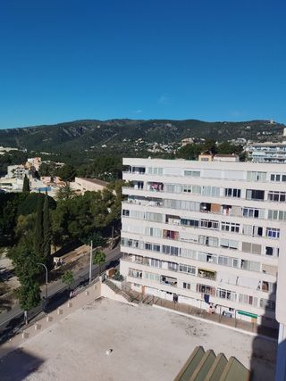 Estudio en Cala Mayor