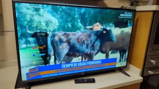 Televisión LG 42 pulgadas