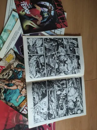 Lote de fanzines & comics