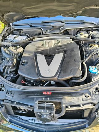 Mercedes-Benz Clase S 2009