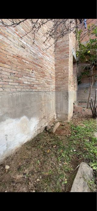 Limpieza terrenos, vaciado de locales...