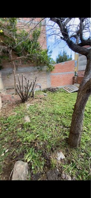 Limpieza terrenos, vaciado de locales...