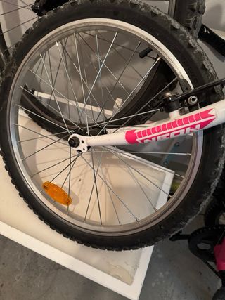 Bicicleta Infantil Neon 20”