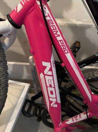 Bicicleta Infantil Neon 20”