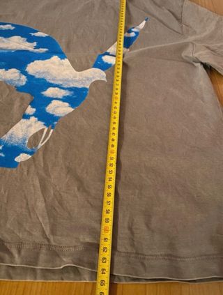 Camiseta edición limitada Zara T.S