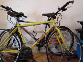 Bicicletas de montaña y carrera