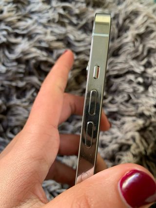 iPhone 13 Pro Argento Quasi Nuovo