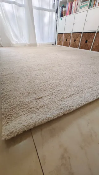 Alfombra Ikea Beige 170x240 cm