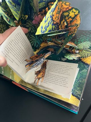 Libro Peter Pan pop up desplegable