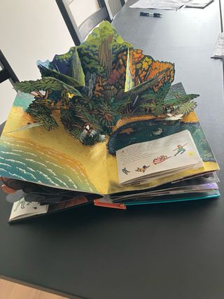 Libro Peter Pan pop up desplegable