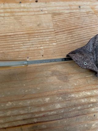 Occhiali da sole Belstaff